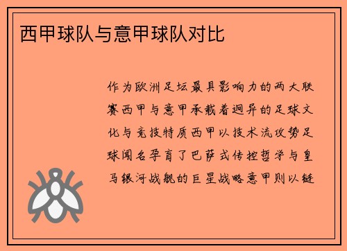 西甲球队与意甲球队对比