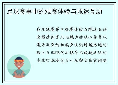 足球赛事中的观赛体验与球迷互动