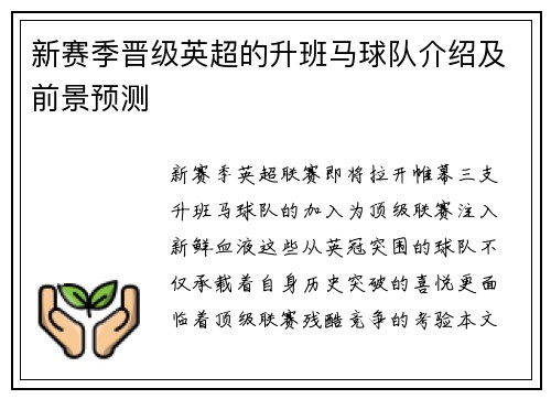 新赛季晋级英超的升班马球队介绍及前景预测